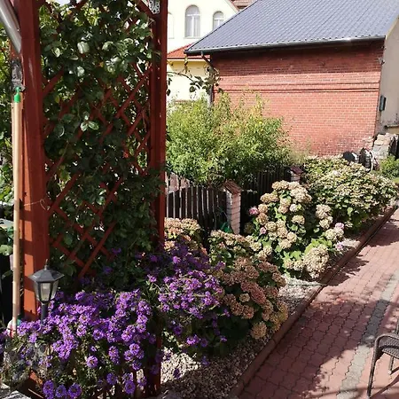 Basia Séjour chez l'habitant Miedzyzdroje